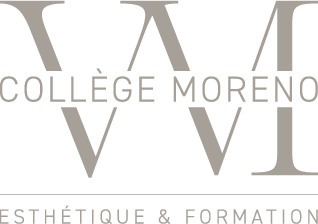 Logo Collège Vanessa Moreno